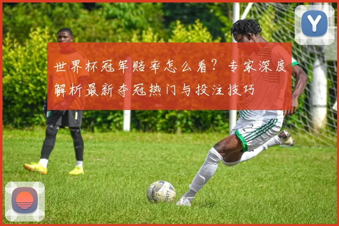 世界杯冠军赔率怎么看？专家深度解析最新夺冠热门与投注技巧